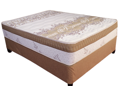 Angels Comfort Range - Gold